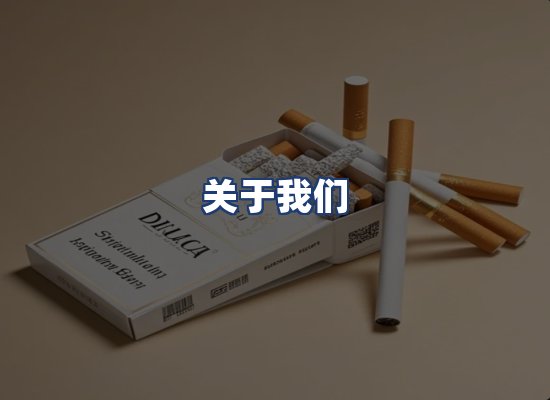 关于我们